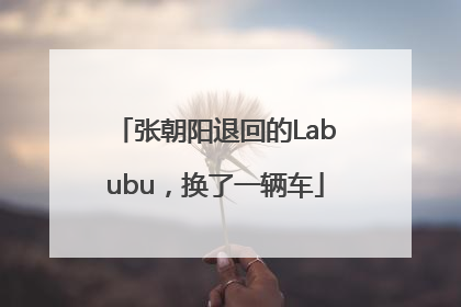 张朝阳退回的Labubu，换了一辆车