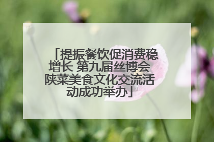 提振餐饮促消费稳增长 第九届丝博会陕菜美食文化交流活动成功举办