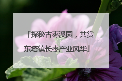 探秘古枣溪园，共赏东塔镇长枣产业风华