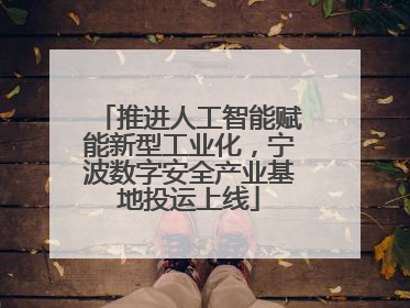 推进人工智能赋能新型工业化，宁波数字安全产业基地投运上线