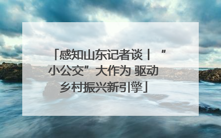 感知山东记者谈丨“小公交”大作为 驱动乡村振兴新引擎