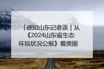 感知山东记者谈｜从《2024山东省生态环境状况公报》看美丽山东建设的“成绩单”与“任务书”