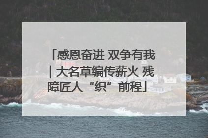 感恩奋进 双争有我｜大名草编传薪火 残障匠人“织”前程