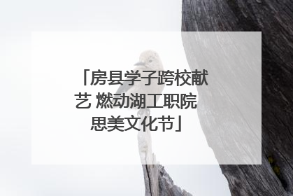 房县学子跨校献艺 燃动湖工职院思美文化节