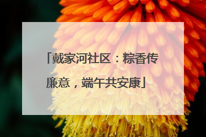 戴家河社区：粽香传廉意，端午共安康