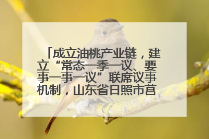 成立油桃产业链，建立“常态一季一议、要事一事一议”联席议事机制，山东省日照市莒县果庄镇——13个党小组“全周期”育果