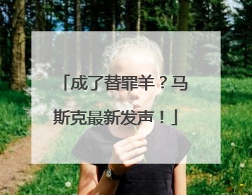 成了替罪羊？马斯克最新发声！