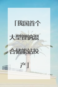 我国首个大型锂钠混合储能站投产