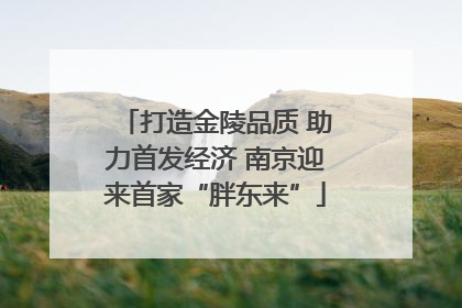 打造金陵品质 助力首发经济 南京迎来首家“胖东来”