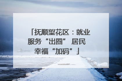 抚顺望花区：就业服务“出圈” 居民幸福“加码”