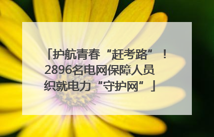 护航青春“赶考路”！2896名电网保障人员织就电力“守护网”