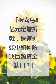 报喜鸟8亿元定增折戟，快速扩张中如何解决巨额资金缺口？