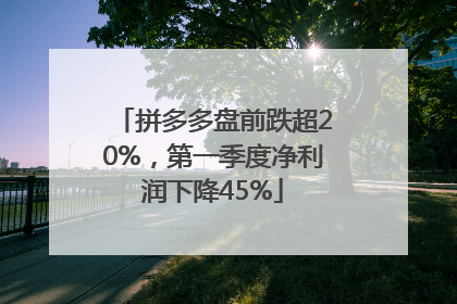 拼多多盘前跌超20%，第一季度净利润下降45%