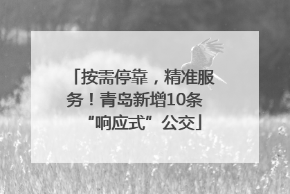 按需停靠，精准服务！青岛新增10条“响应式”公交