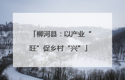 柳河县：以产业“旺”促乡村“兴”