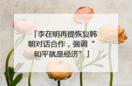 李在明再提恢复韩朝对话合作，强调“和平就是经济”
