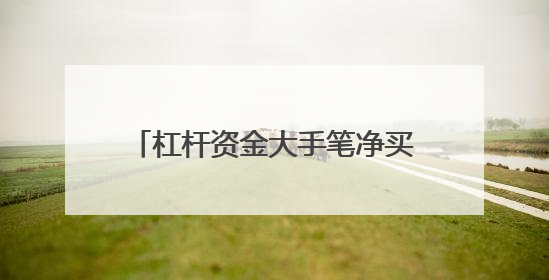 杠杆资金大手笔净买入的科创板股曝光