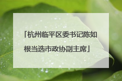 杭州临平区委书记陈如根当选市政协副主席