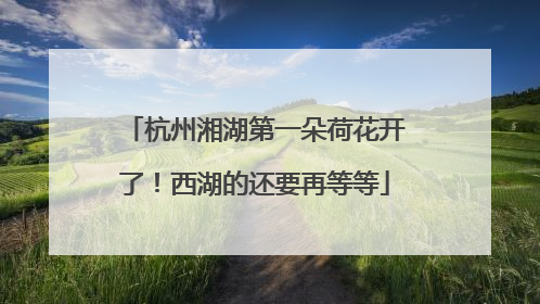 杭州湘湖第一朵荷花开了！西湖的还要再等等