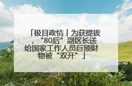极目政情丨为获提拔，“80后”副区长送给国家工作人员巨额财物被“双开”