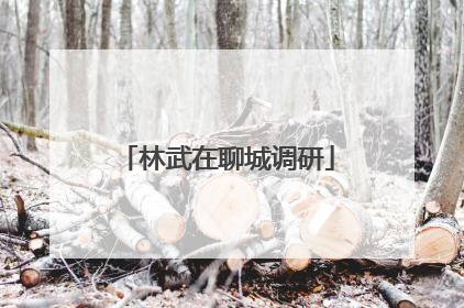 林武在聊城调研