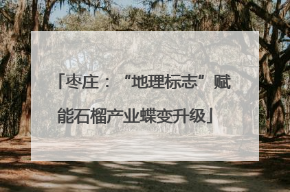 枣庄：“地理标志”赋能石榴产业蝶变升级