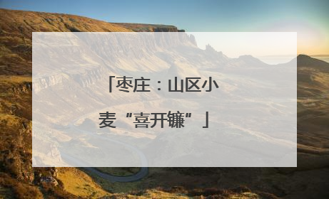 枣庄：山区小麦“喜开镰”