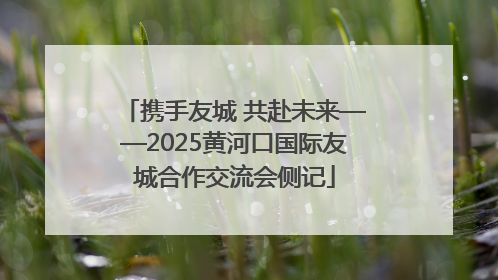 携手友城 共赴未来——2025黄河口国际友城合作交流会侧记