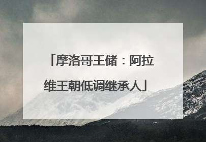 摩洛哥王储：阿拉维王朝低调继承人