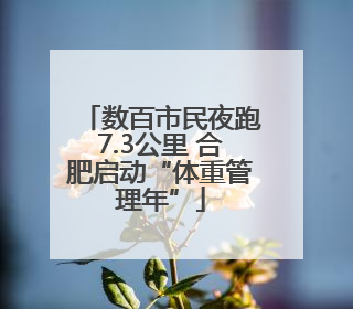 数百市民夜跑7.3公里 合肥启动“体重管理年”