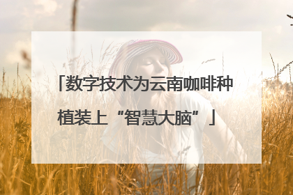 数字技术为云南咖啡种植装上“智慧大脑”