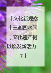 文化新观察丨三湘四水间，文化遗产何以焕发新活力？