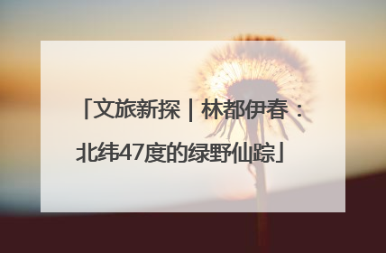 文旅新探｜林都伊春：北纬47度的绿野仙踪