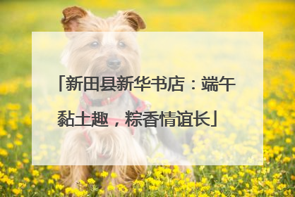 新田县新华书店：端午黏土趣，粽香情谊长