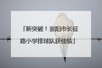 新突破！襄阳市长征路小学排球队获佳绩