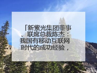 新紫光集团董事、联席总裁陈杰：我国有移动互联网时代的成功经验，最有能力做好AI应用创新