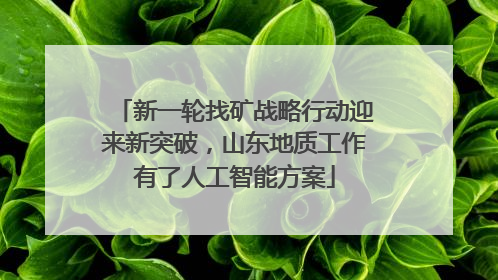 新一轮找矿战略行动迎来新突破，山东地质工作有了人工智能方案