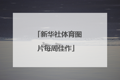 新华社体育图片每周佳作