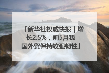 新华社权威快报｜增长2.5%，前5月我国外贸保持较强韧性