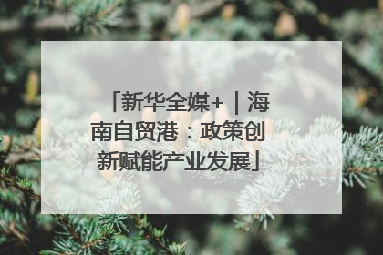 新华全媒+｜海南自贸港：政策创新赋能产业发展