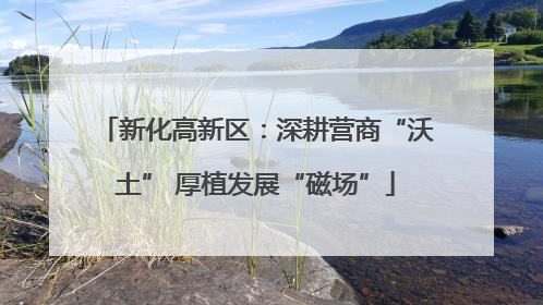 新化高新区：深耕营商“沃土” 厚植发展“磁场”