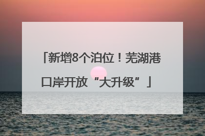 新增8个泊位！芜湖港口岸开放“大升级”