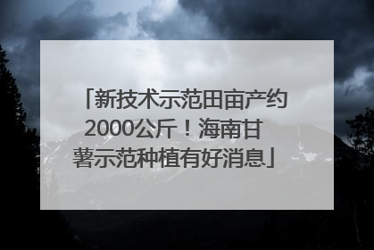新技术示范田亩产约2000公斤！海南甘薯示范种植有好消息