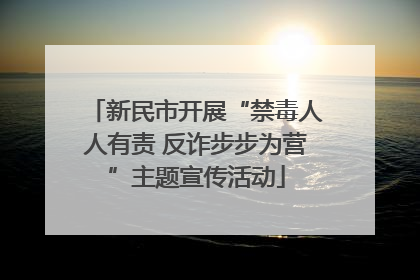 新民市开展“禁毒人人有责 反诈步步为营”主题宣传活动