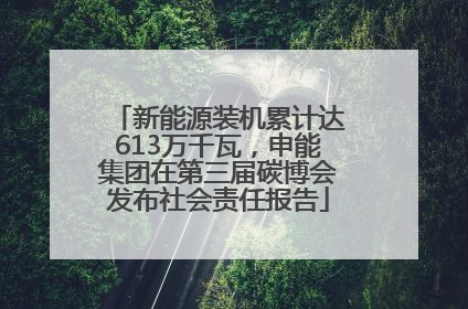 新能源装机累计达613万千瓦，申能集团在第三届碳博会发布社会责任报告