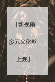 新视角 多元文化壁上观