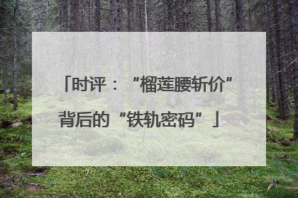 时评：“榴莲腰斩价”背后的“铁轨密码”