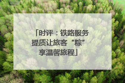 时评：铁路服务提质让旅客“粽”享温馨旅程