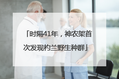 时隔41年，神农架首次发现杓兰野生种群