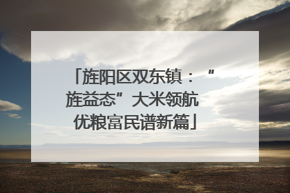 旌阳区双东镇：“旌益态”大米领航 优粮富民谱新篇